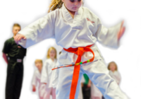Children and Martial Arts