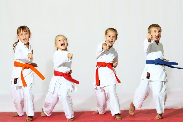 Martial Arts Fitness for Children
